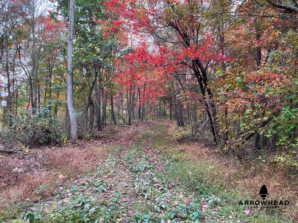 Beautiful Property in Big Buck Country With Possible Build Site.