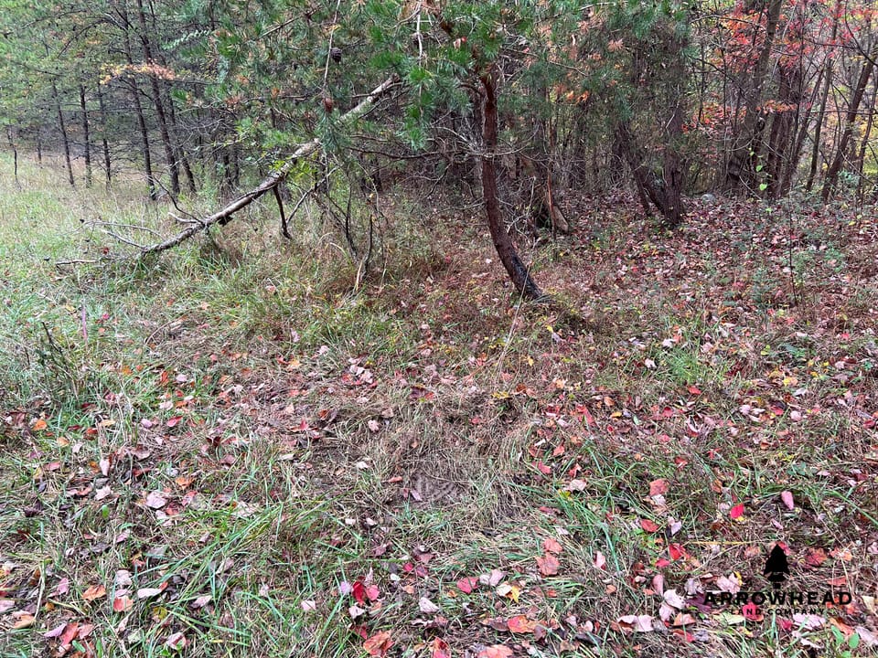 Beautiful Property in Big Buck Country With Possible Build Site.