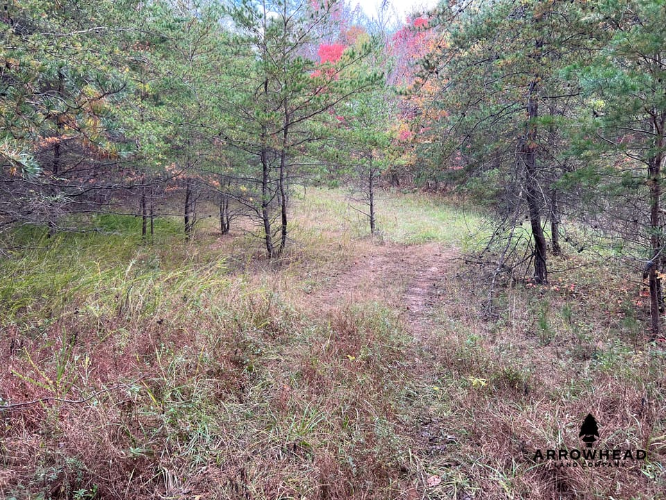 Beautiful Property in Big Buck Country With Possible Build Site.