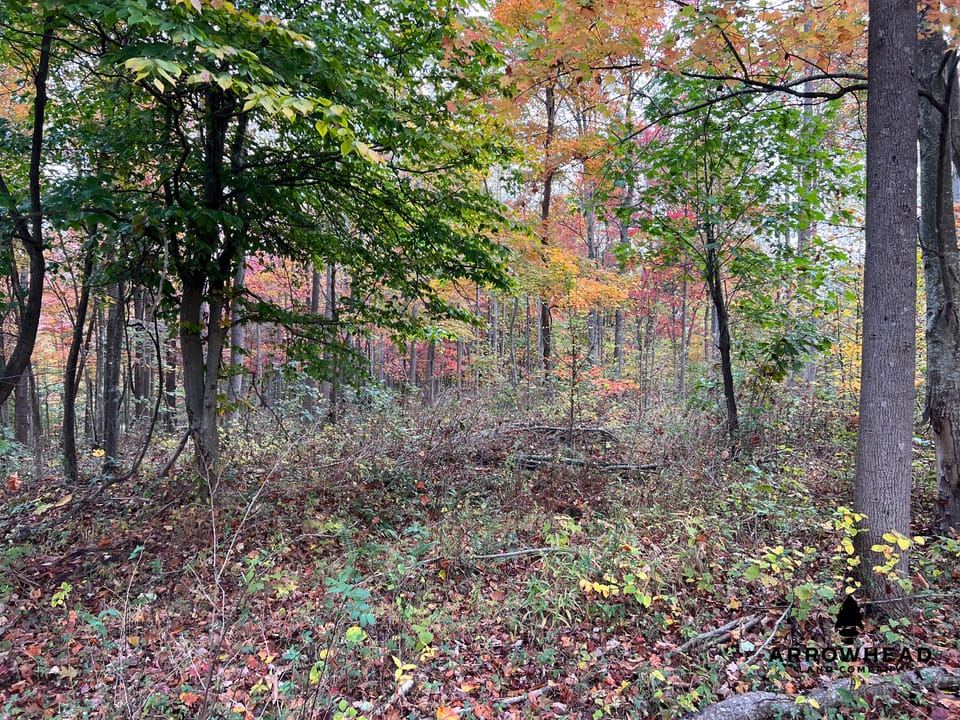 Beautiful Property in Big Buck Country With Possible Build Site.