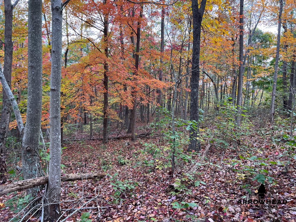 Beautiful Property in Big Buck Country With Possible Build Site.