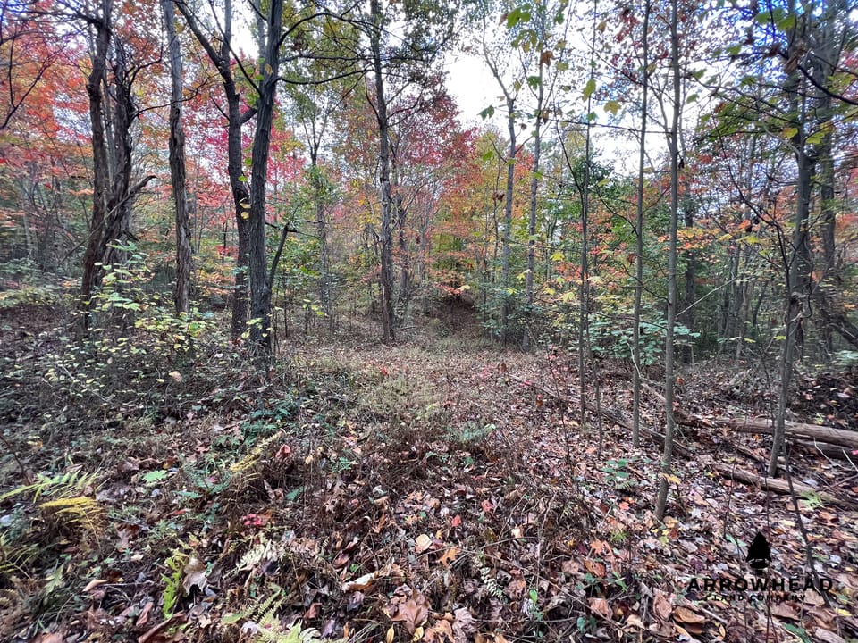 Beautiful Property in Big Buck Country With Possible Build Site.