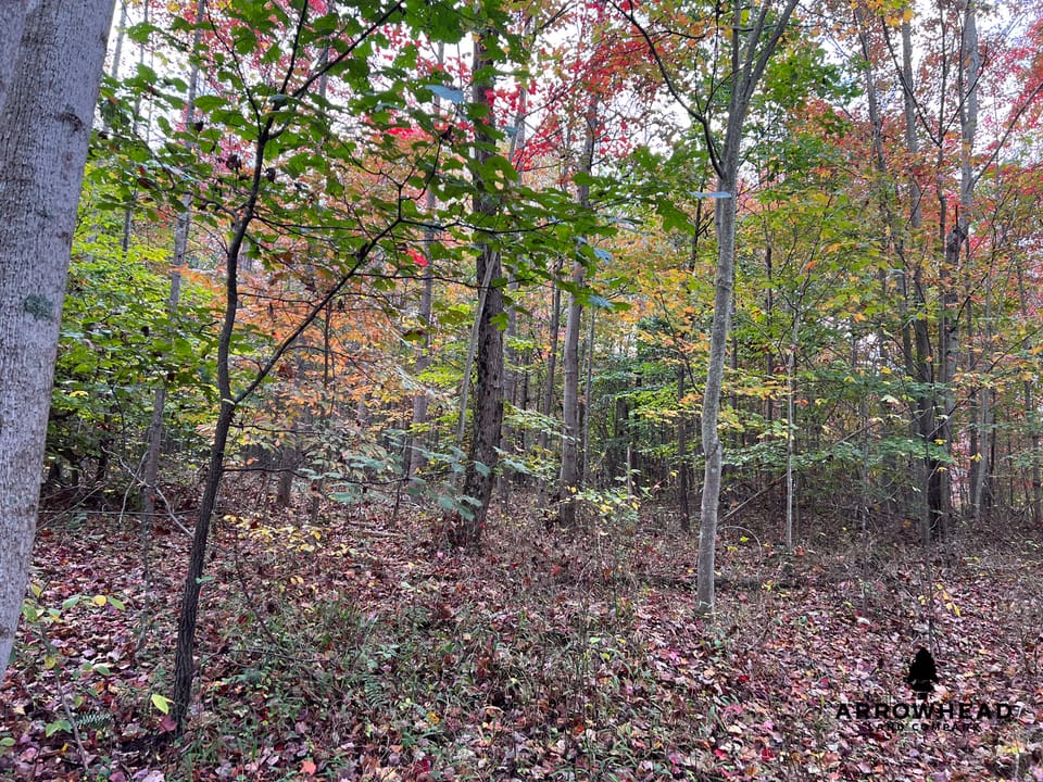 Beautiful Property in Big Buck Country With Possible Build Site.