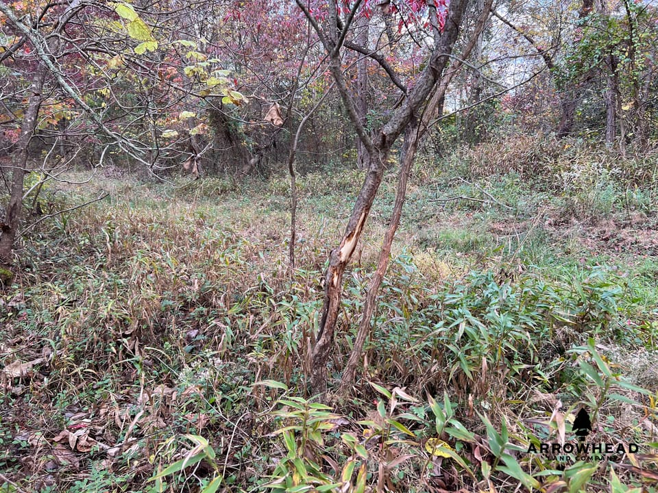 Beautiful Property in Big Buck Country With Possible Build Site.