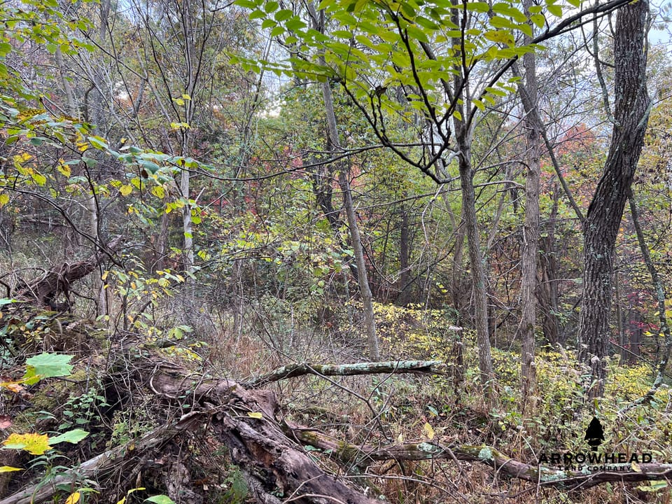 Beautiful Property in Big Buck Country With Possible Build Site.