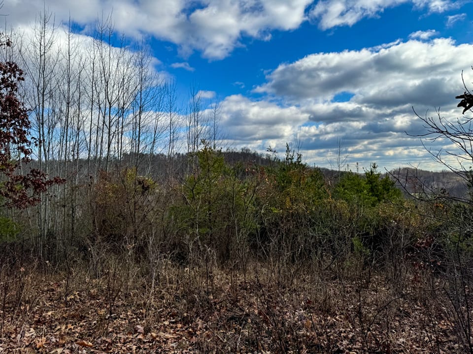 Trouble Creek Road Farm