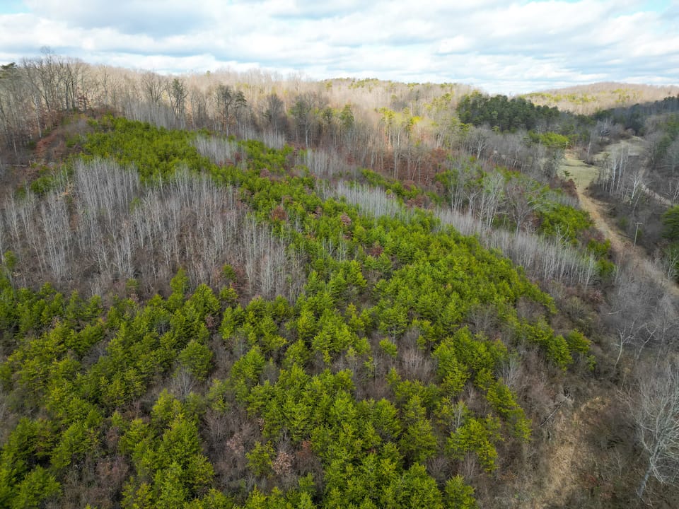 Trouble Creek Road Farm