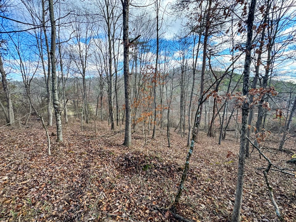 Trouble Creek Road Farm