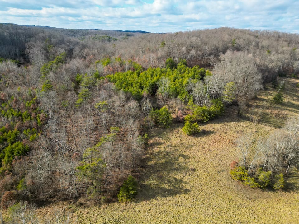 Trouble Creek Road Farm
