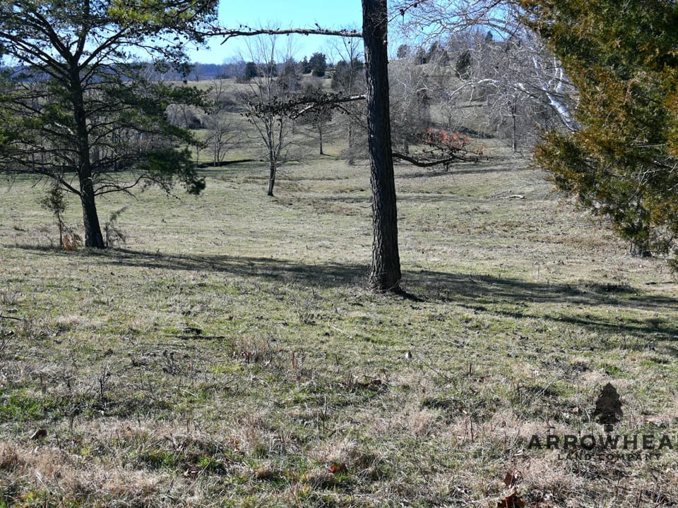 Investment, Farming, and Hunting Land!