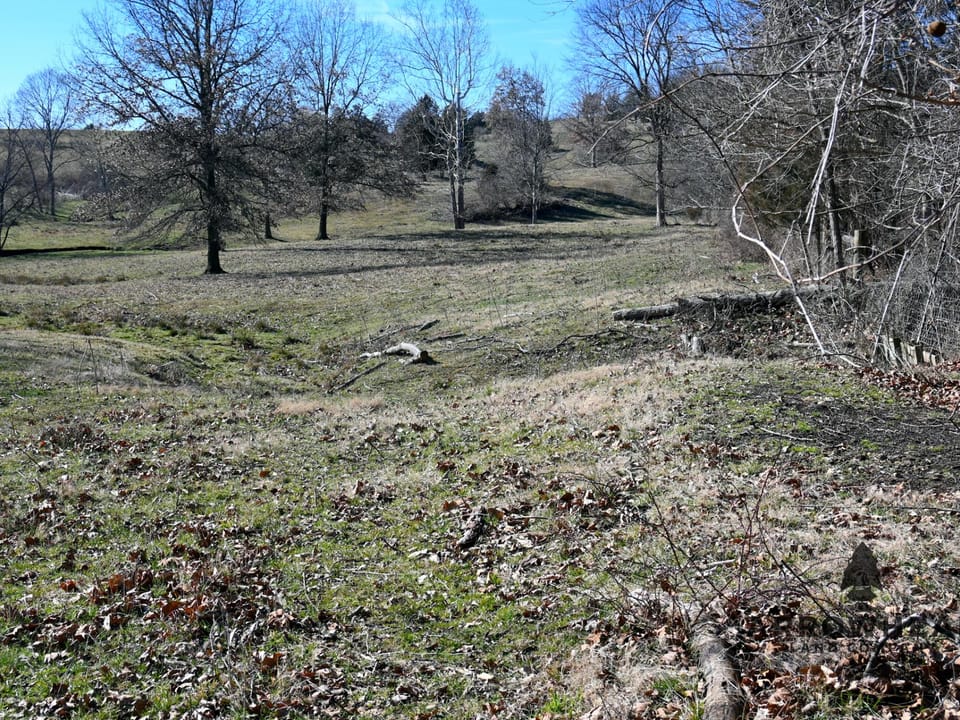 Investment, Farming, and Hunting Land!