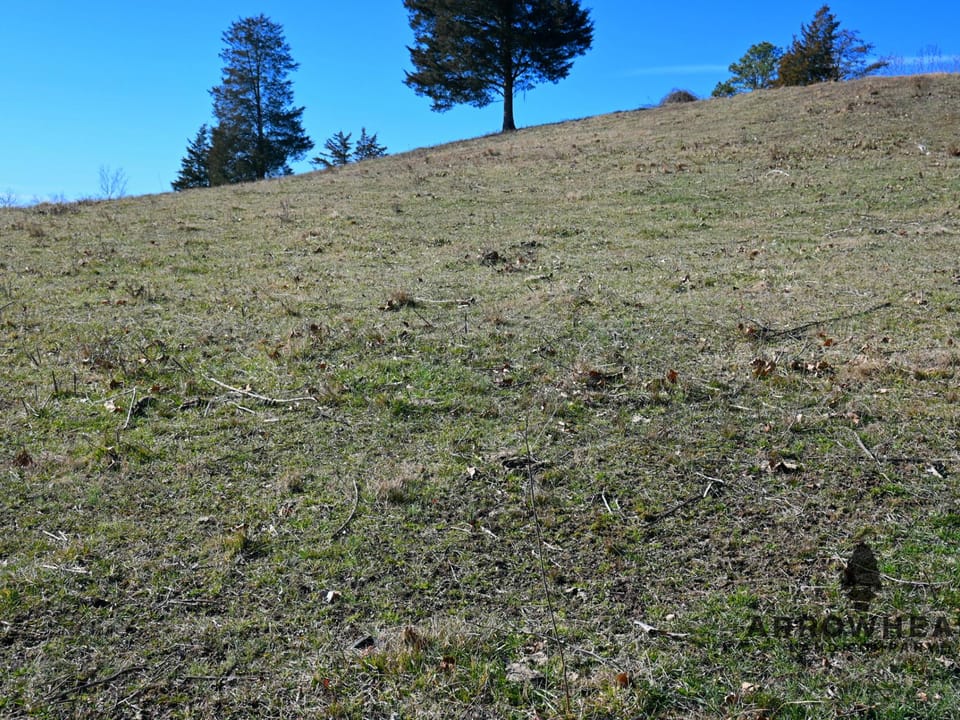 Investment, Farming, and Hunting Land!