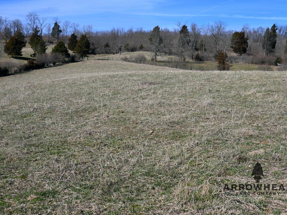 Investment, Farming, and Hunting Land!