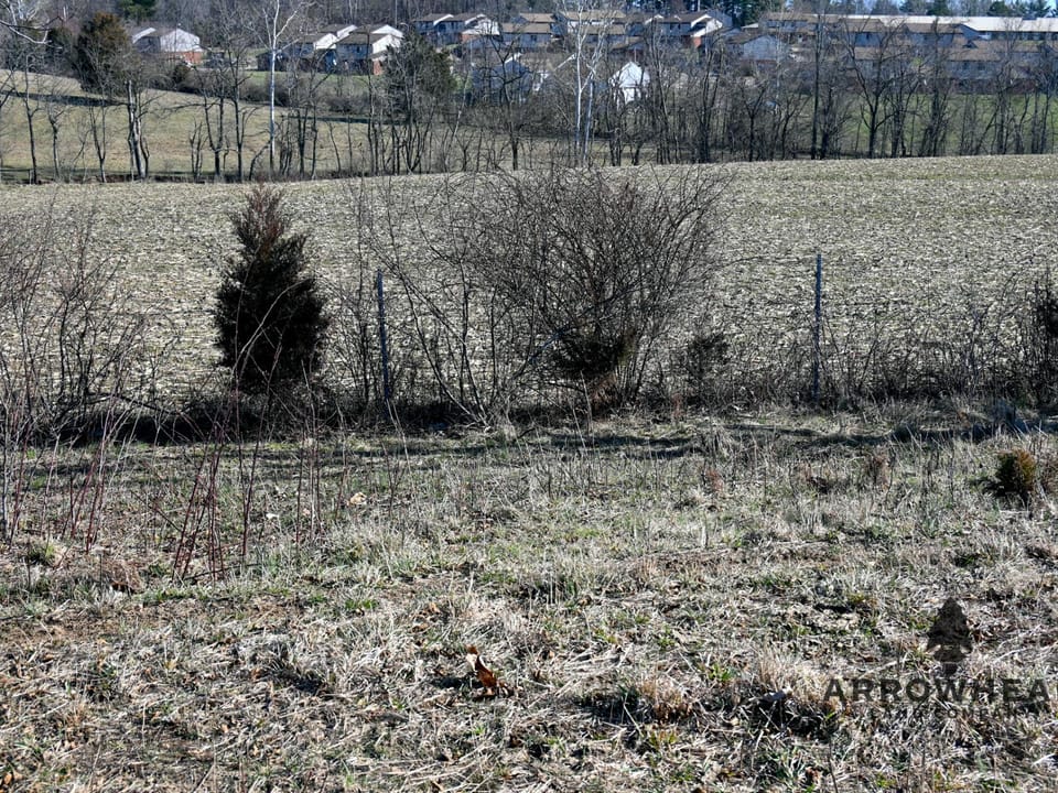 Investment, Farming, and Hunting Land!