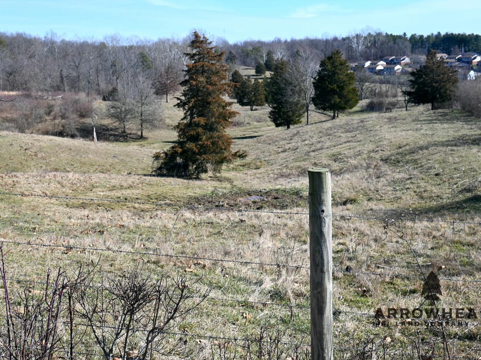 Investment, Farming, and Hunting Land!
