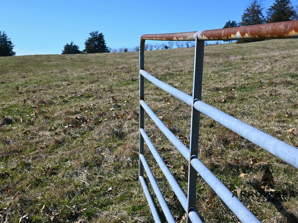 Investment, Farming, and Hunting Land!