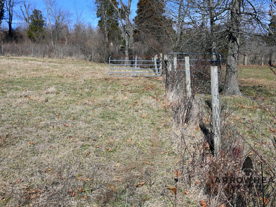 Investment, Farming, and Hunting Land!