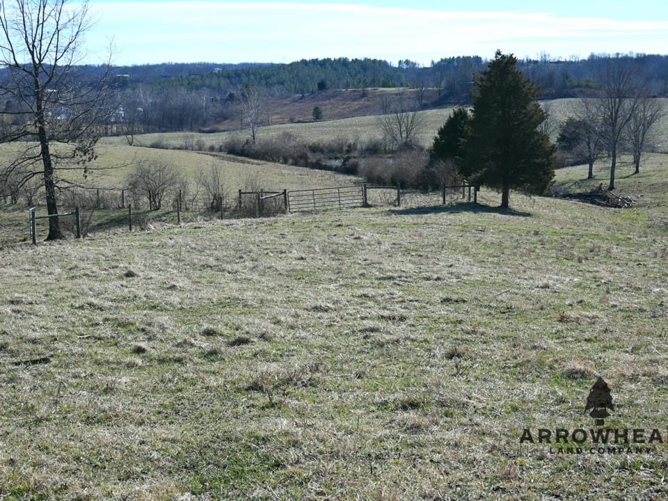 Investment, Farming, and Hunting Land!