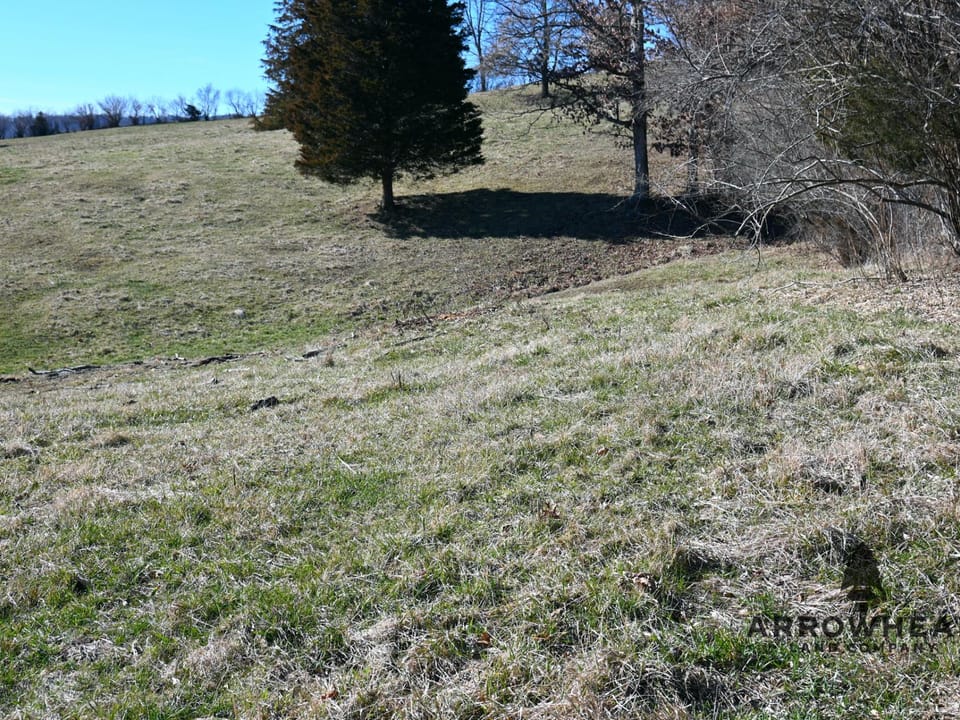 Investment, Farming, and Hunting Land!