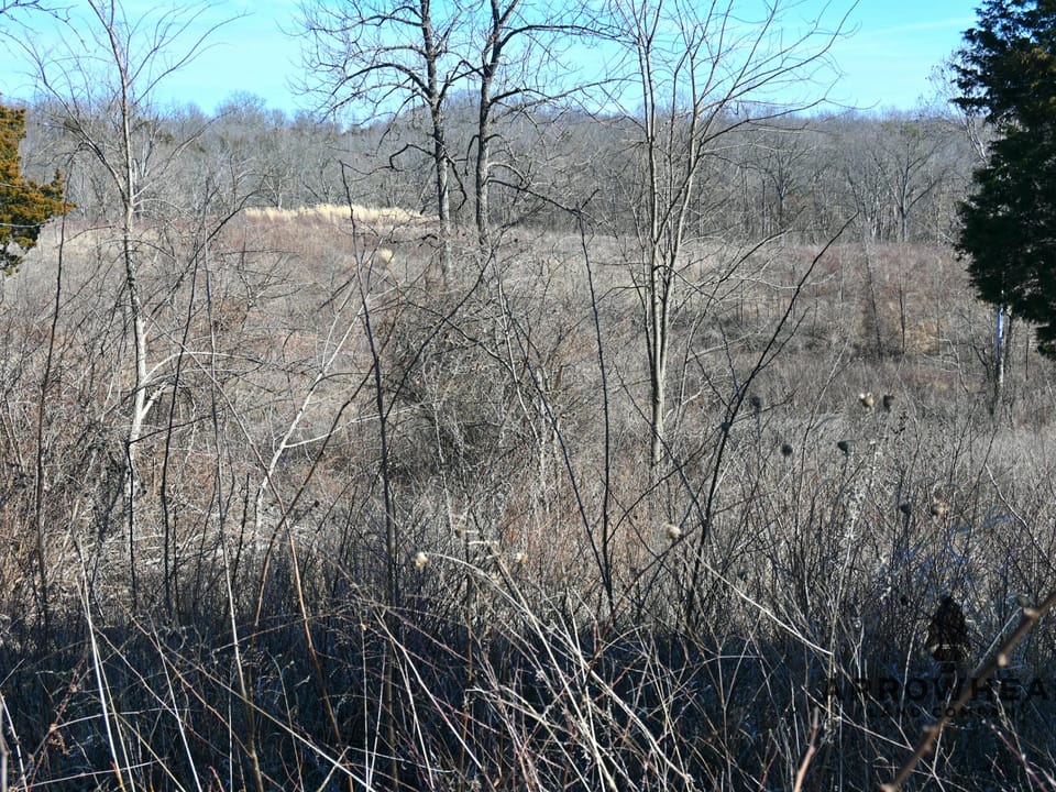 Investment, Farming, and Hunting Land!