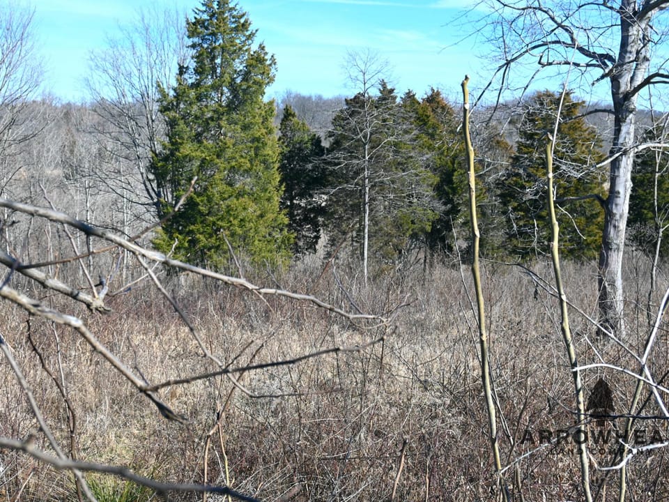 Investment, Farming, and Hunting Land!
