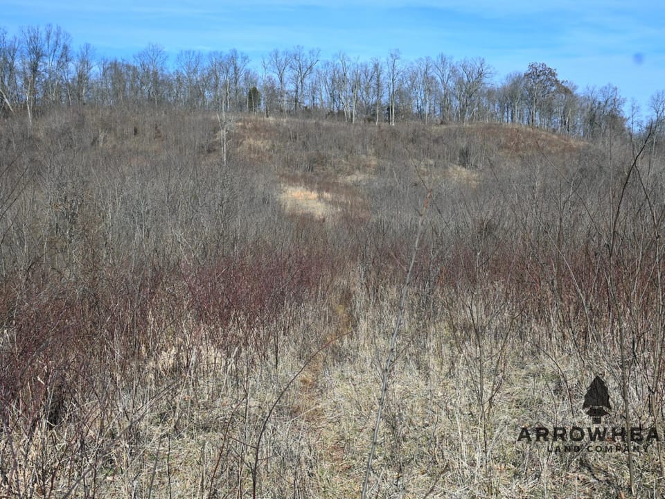 Investment, Farming, and Hunting Land!