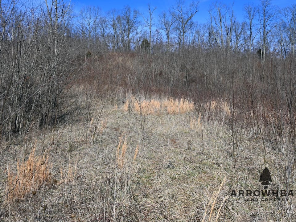 Investment, Farming, and Hunting Land!