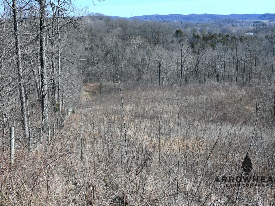 Investment, Farming, and Hunting Land!