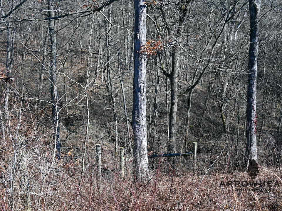 Investment, Farming, and Hunting Land!
