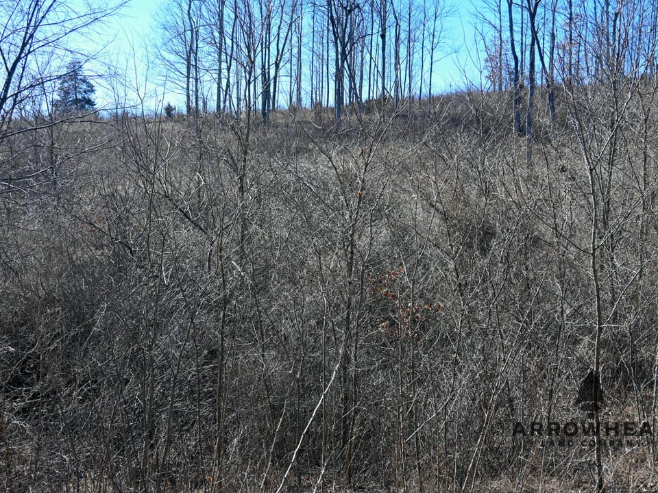 Investment, Farming, and Hunting Land!