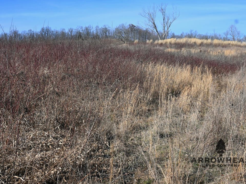Investment, Farming, and Hunting Land!