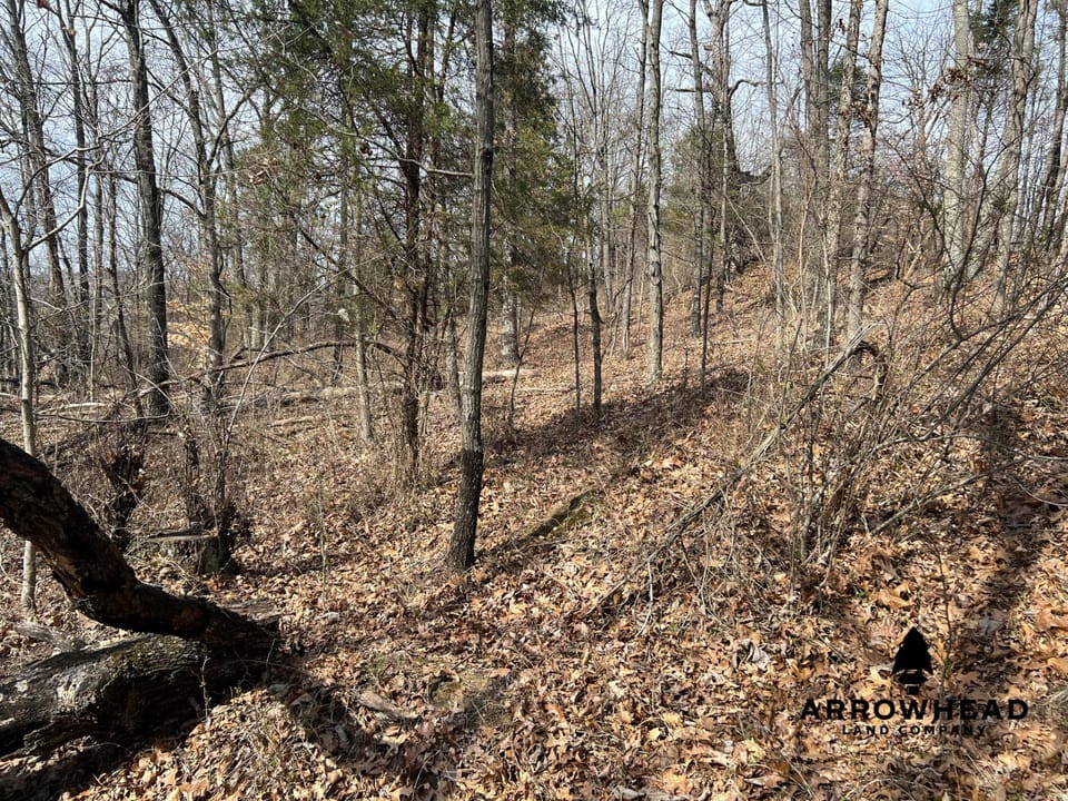 Hunting Property Near Muskingum River