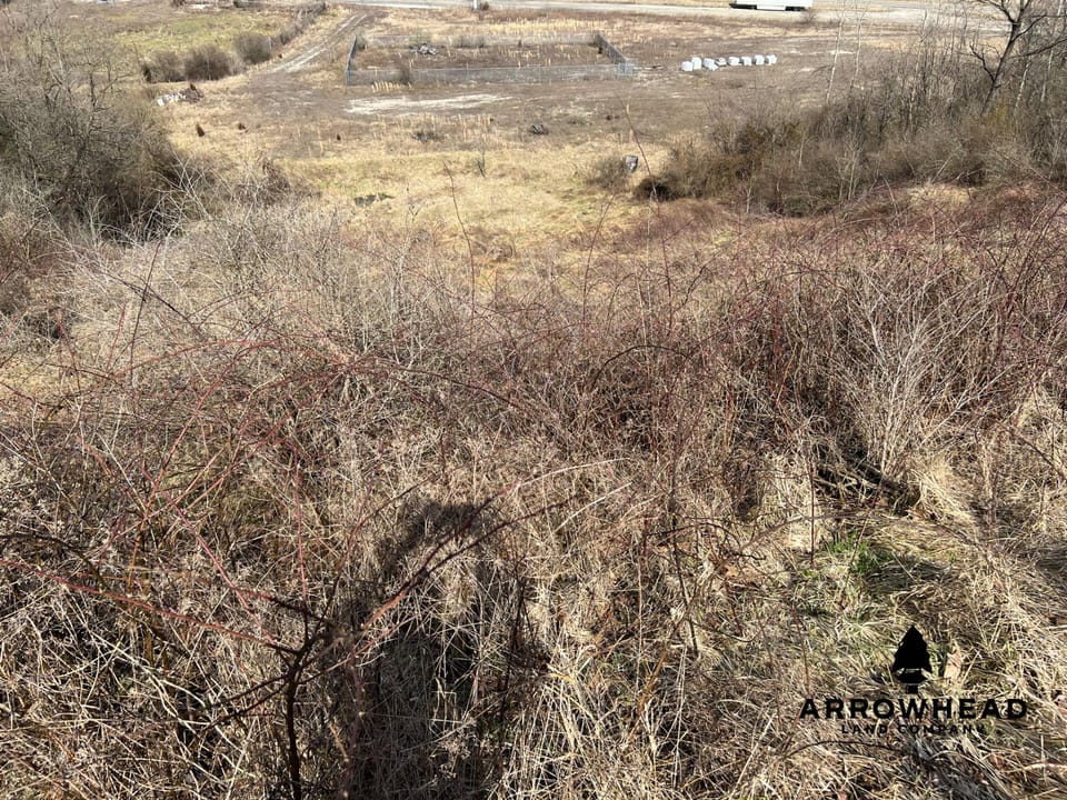 Hunting Property Near Muskingum River