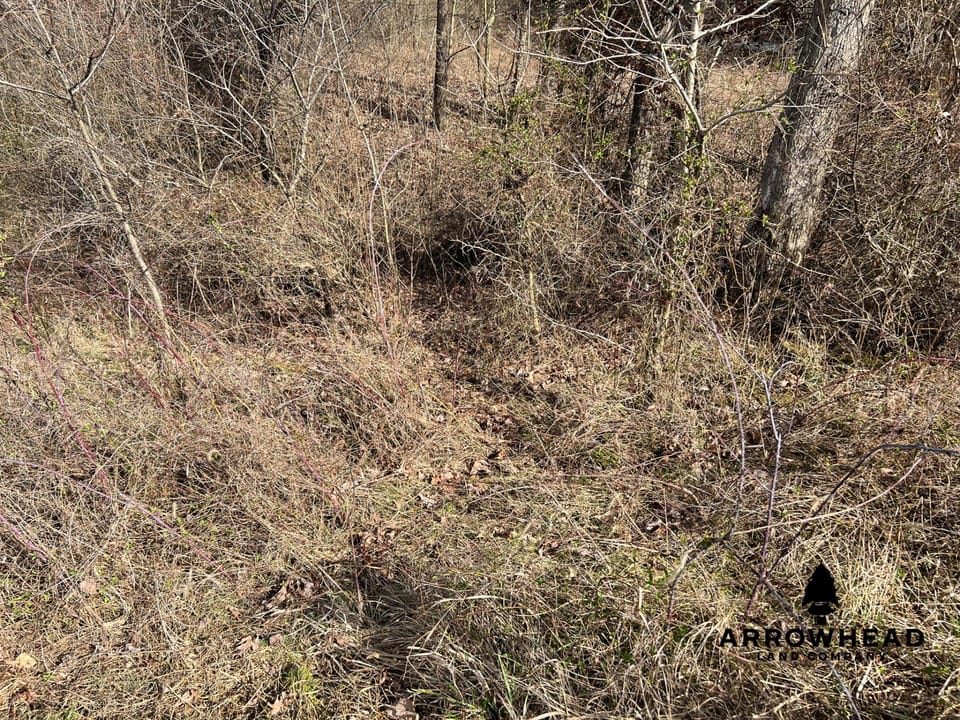 Hunting Property Near Muskingum River