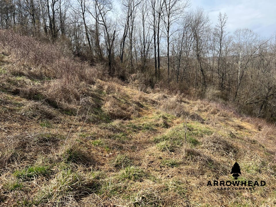 Hunting Property Near Muskingum River