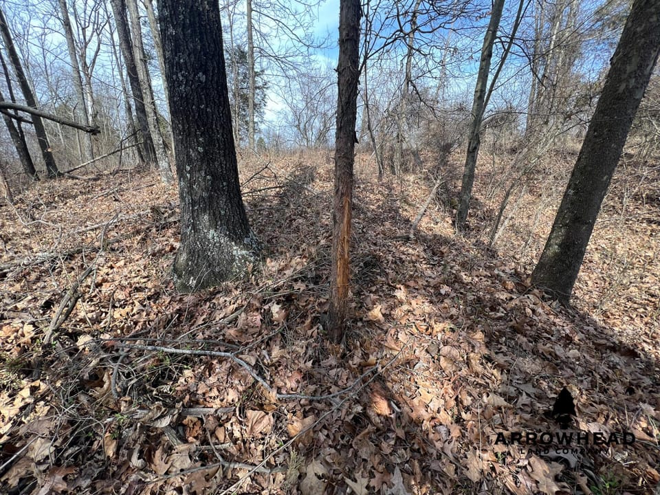 Hunting Property Near Muskingum River