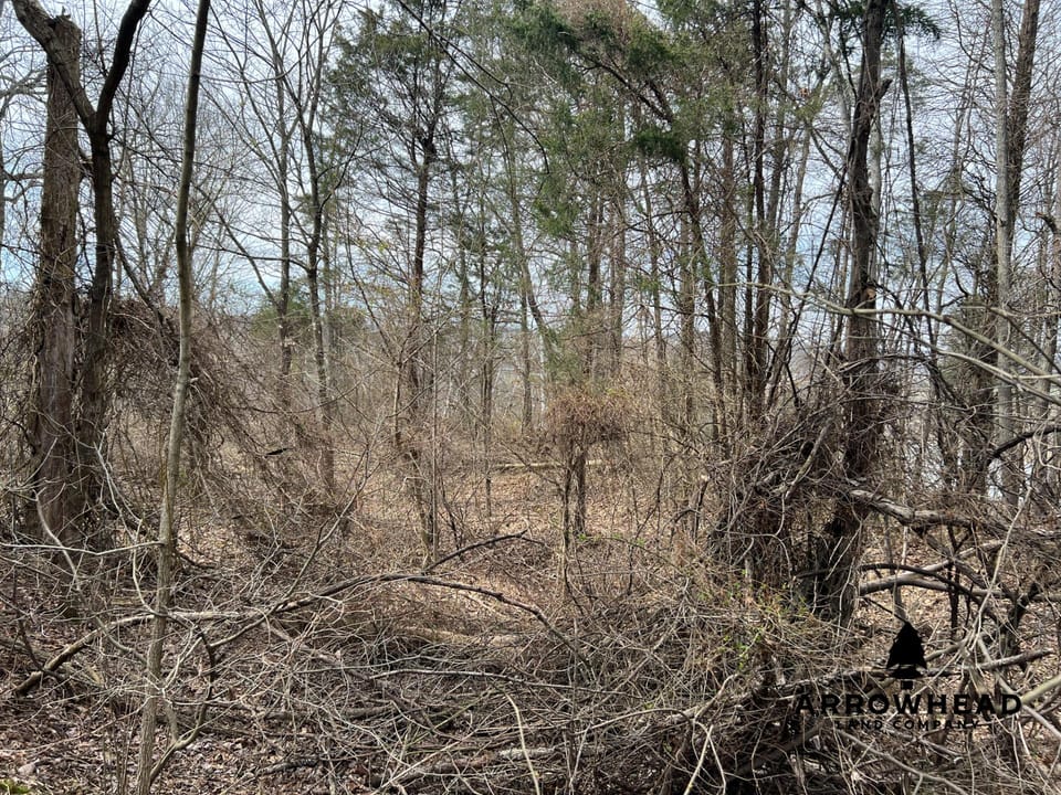 Hunting Property Near Muskingum River