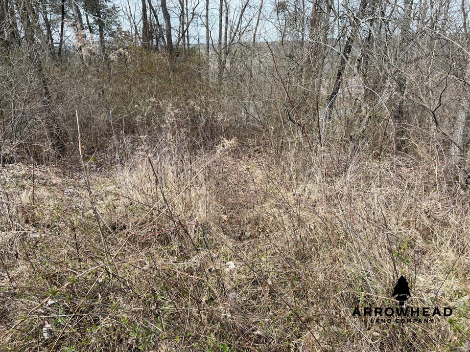 Hunting Property Near Muskingum River