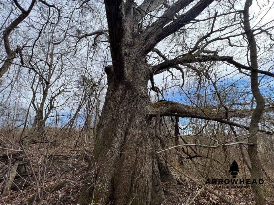 Hunting Property Near Muskingum River