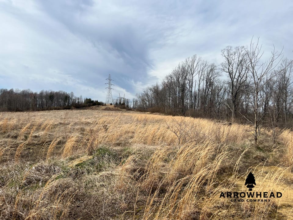 Hunting Property Near Muskingum River