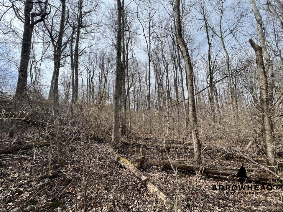 Hunting Property Near Muskingum River