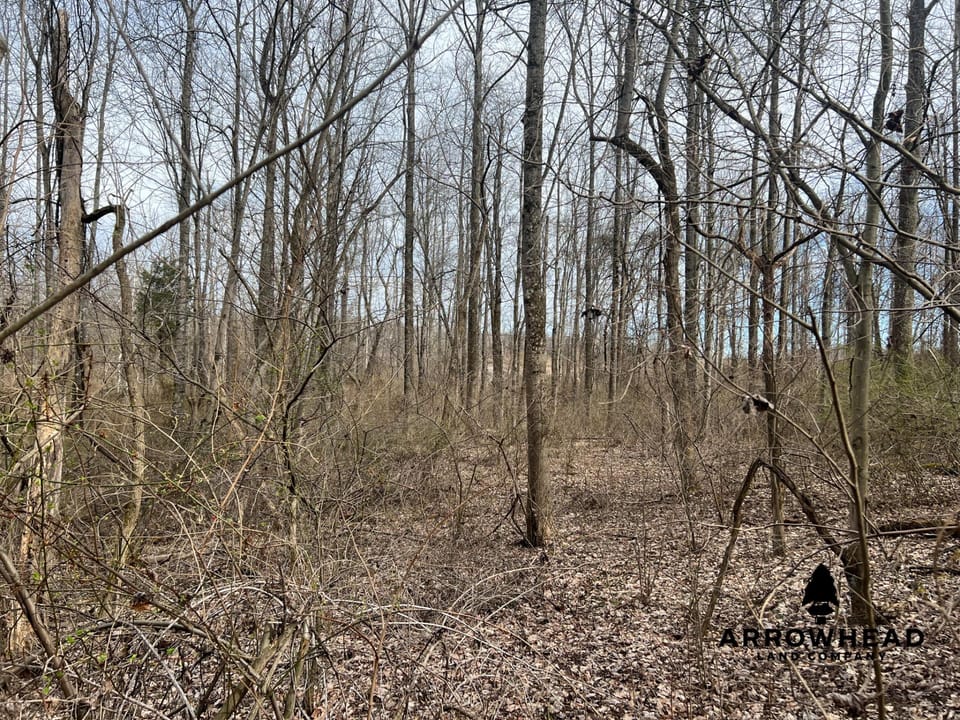 Hunting Property Near Muskingum River