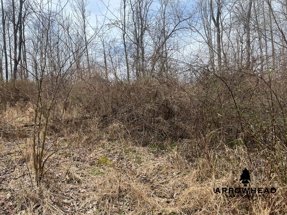 Hunting Property Near Muskingum River