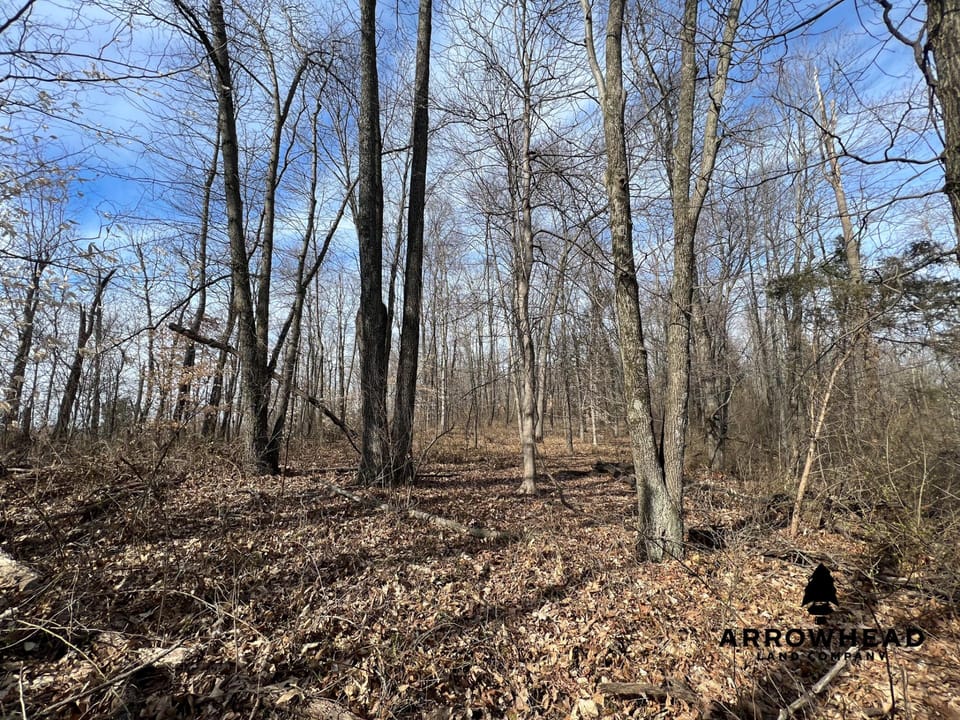 Hunting Property Near Muskingum River