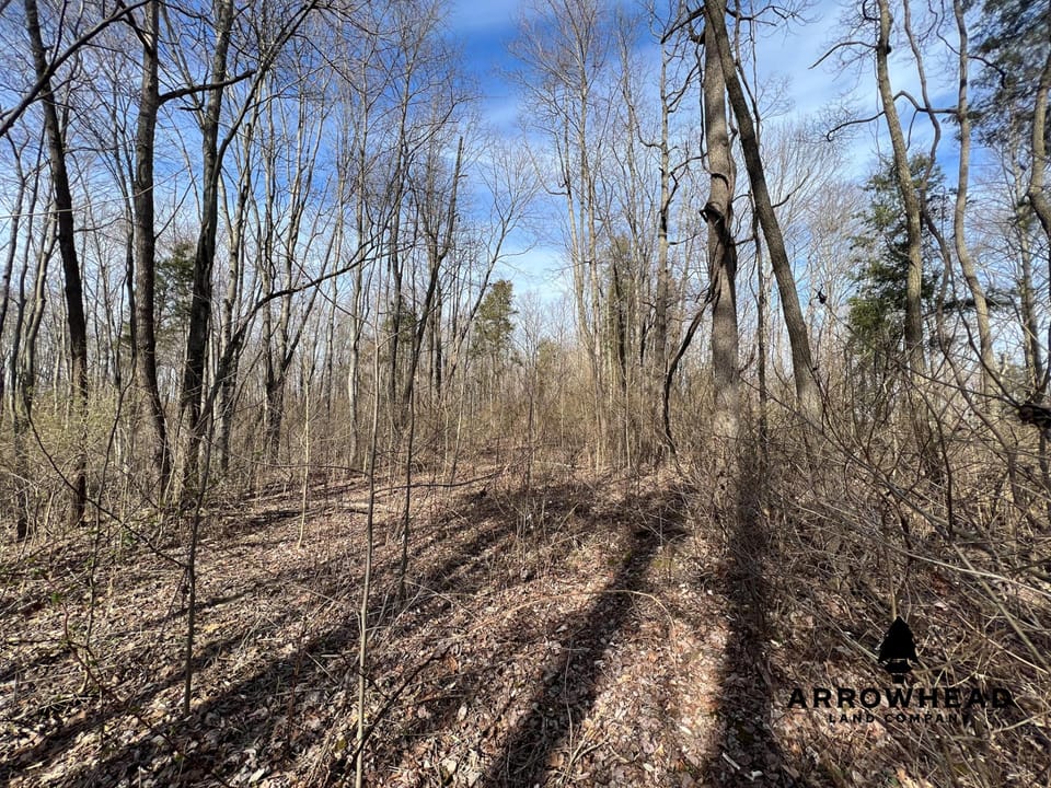 Hunting Property Near Muskingum River