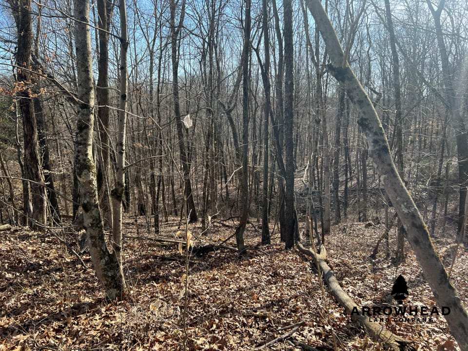 Hunting Property Near Muskingum River