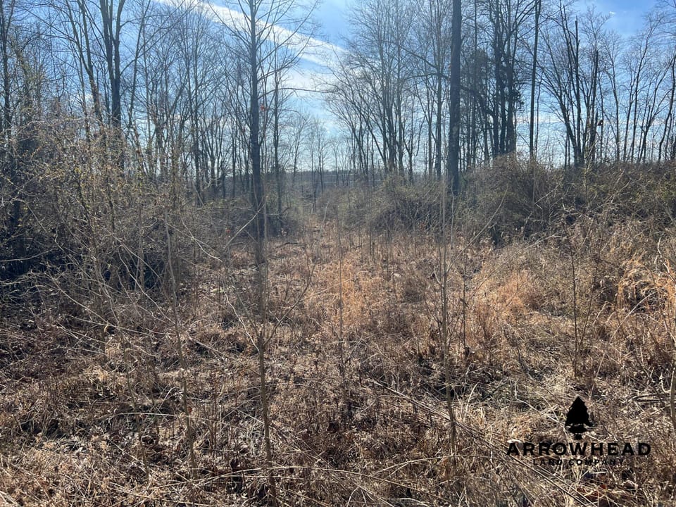 Hunting Property Near Muskingum River