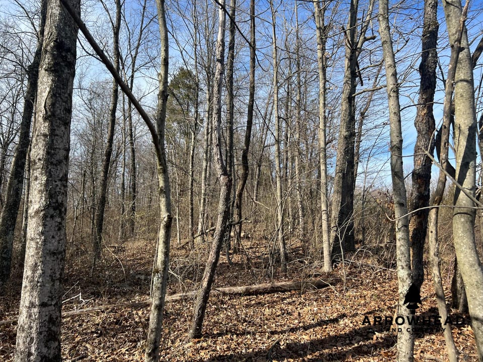Hunting Property Near Muskingum River