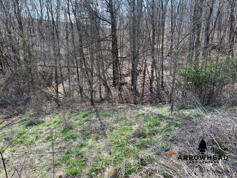 Hunting Property Near Muskingum River