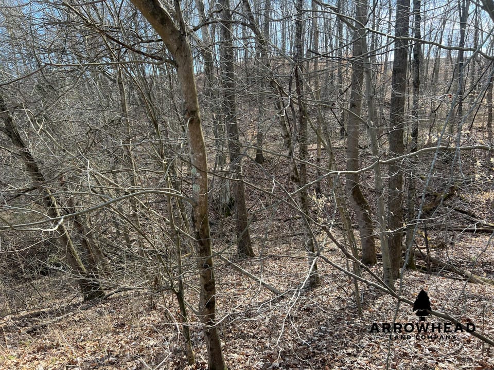 Hunting Property Near Muskingum River